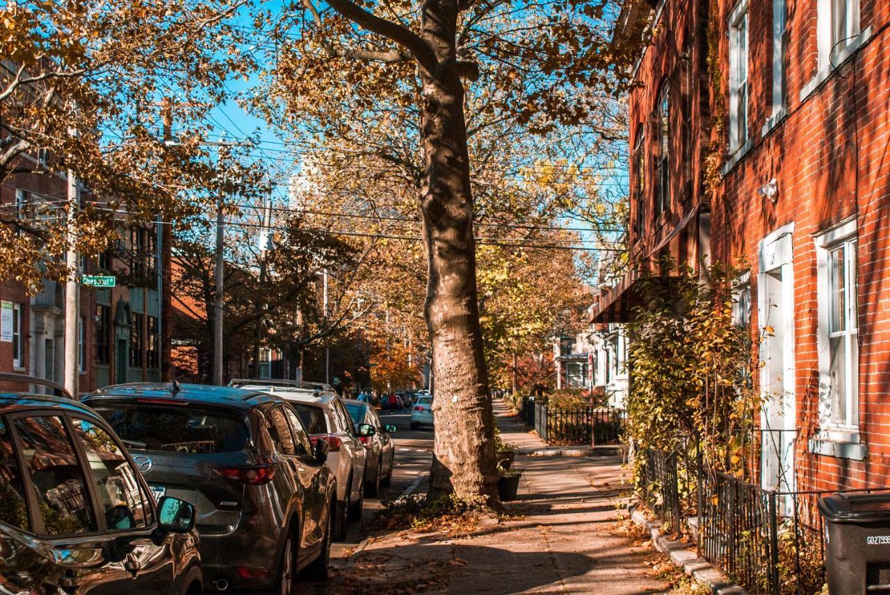 Gorgeous 1br Wooster Sq. Apt. - Wshr/dryr, Parking
